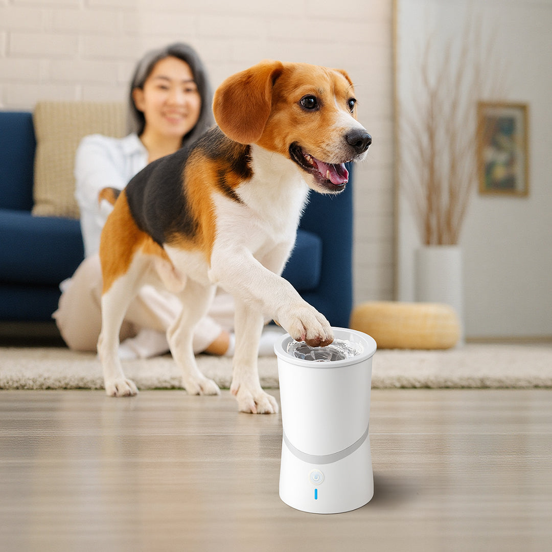 Pet electric foot washer