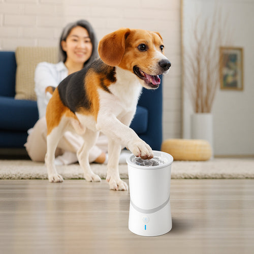 Pet electric foot washer